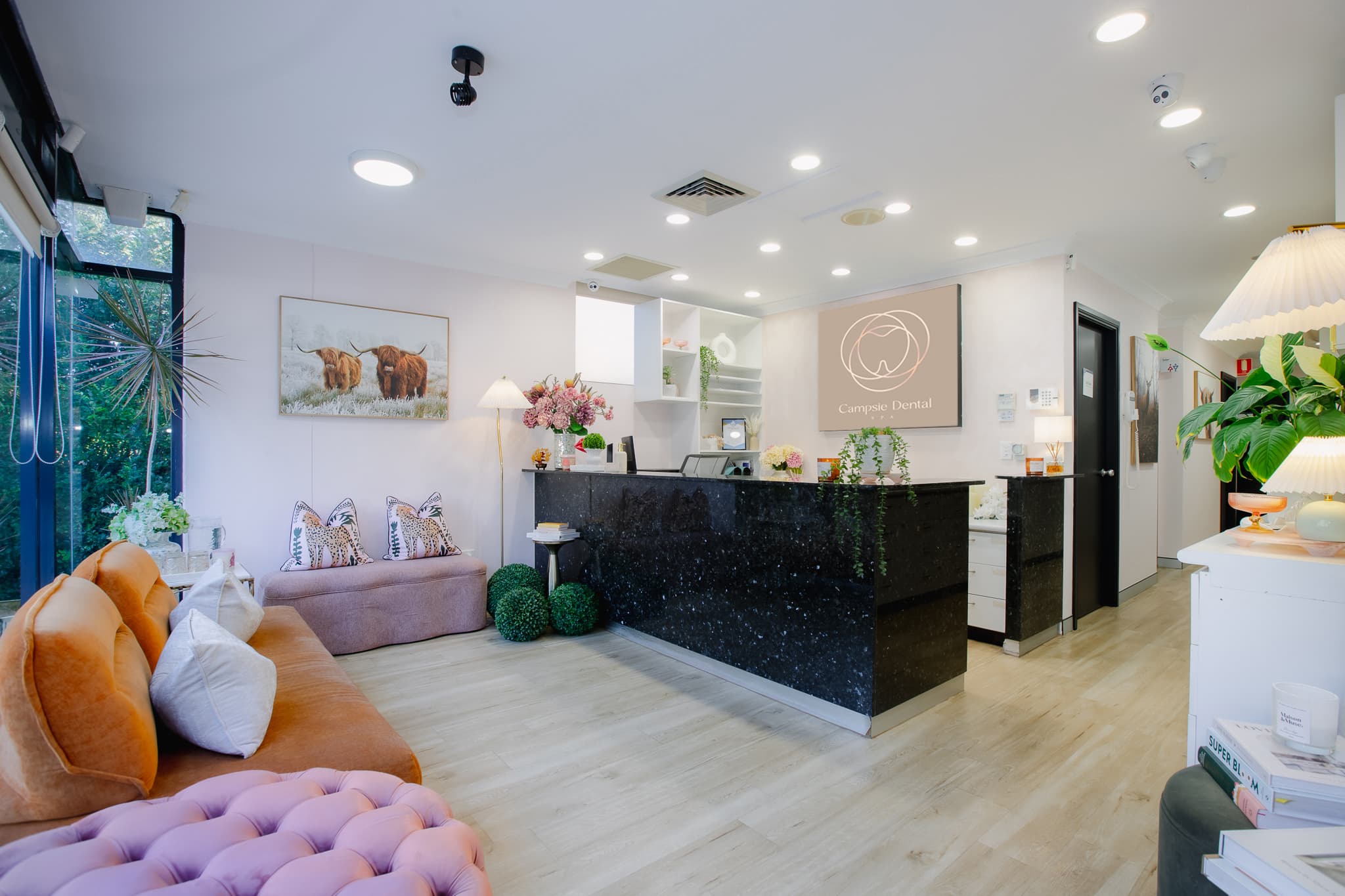 Campsie Dental Spa reception area