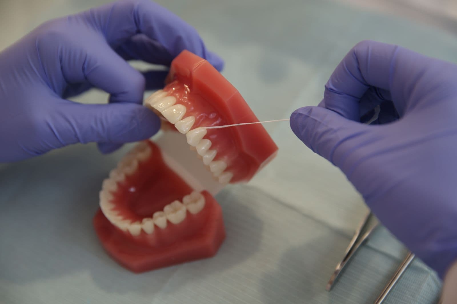 Flossing demonstration on dental model for good oral hygiene